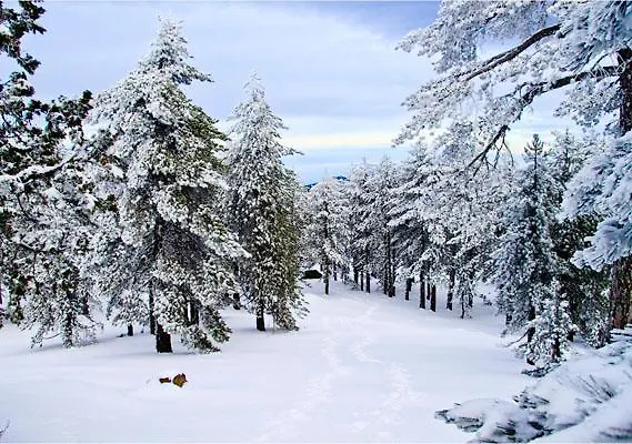 Vilă Traditional Stone House *